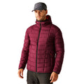 Dark Maroon - Lifestyle - Regatta Mens Asper Padded Jacket