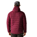 Dark Maroon - Pack Shot - Regatta Mens Asper Padded Jacket