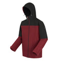 Dark Maroon - Back - Regatta Mens Thornridge Insulated Waterproof Jacket