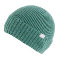 Spruce Green - Back - Regatta Womens-Ladies Basic Ribbed Beanie