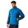 Snorkel Blue-Moonlight Denim - Lifestyle - Regatta Mens Dalent Padded Jacket