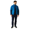 Snorkel Blue-Moonlight Denim - Pack Shot - Regatta Mens Dalent Padded Jacket