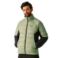 Oil Green-Black - Lifestyle - Regatta Mens Dalent Padded Jacket