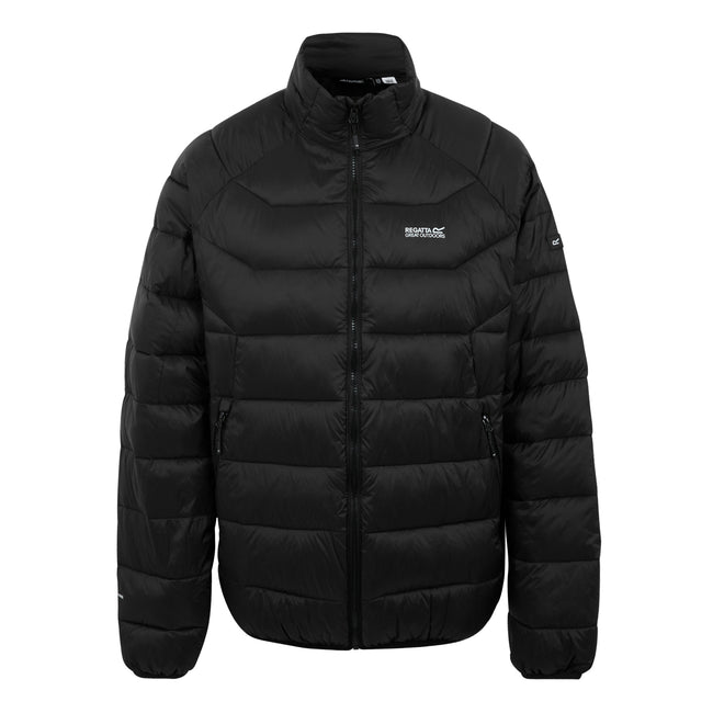 Black - Front - Regatta Mens Dalent Padded Jacket