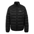 Black - Front - Regatta Mens Dalent Padded Jacket