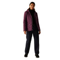 Fig-Black - Pack Shot - Regatta Womens-Ladies Agara Padded Jacket