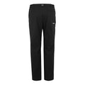 Black - Back - Regatta Mens Highton Winter Hiking Trousers