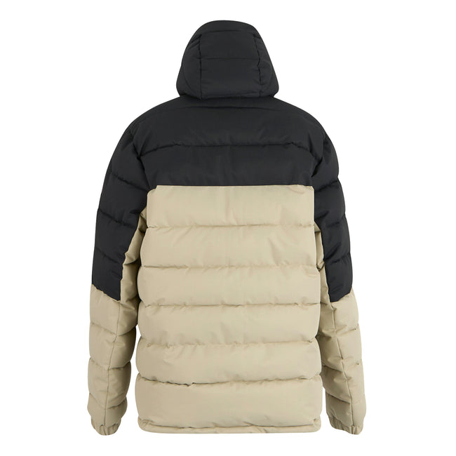 Ash Grey - Back - Regatta Mens Aldthorn Padded Jacket