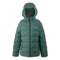Spruce Green - Front - Regatta Womens-Ladies Altoro Thermal Padded Jacket