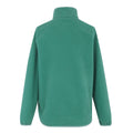 Spruce Green - Back - Regatta Womens-Ladies Frankie Quarter Zip Fleece Top
