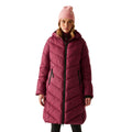 Dark Pimento - Lifestyle - Regatta Womens-Ladies Anita Padded Jacket