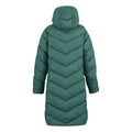 Green Haze - Back - Regatta Womens-Ladies Anita Padded Jacket