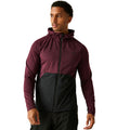 Fig-Black - Lifestyle - Dare 2B Mens Assimilate III Core Stretch Midlayer