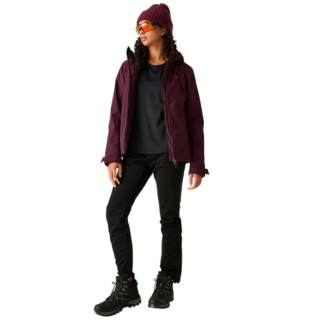 Fig - Close up - Dare 2B Womens-Ladies Torrek Blazen Insulated Waterproof Ski Jacket