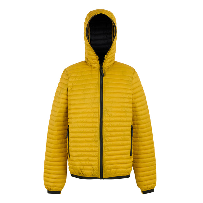 Gold - Front - Regatta Mens Rigain Padded Jacket