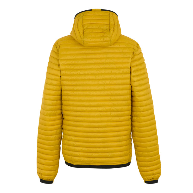 Gold - Back - Regatta Mens Rigain Padded Jacket