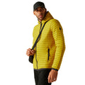 Gold - Lifestyle - Regatta Mens Rigain Padded Jacket