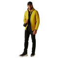 Gold - Pack Shot - Regatta Mens Rigain Padded Jacket