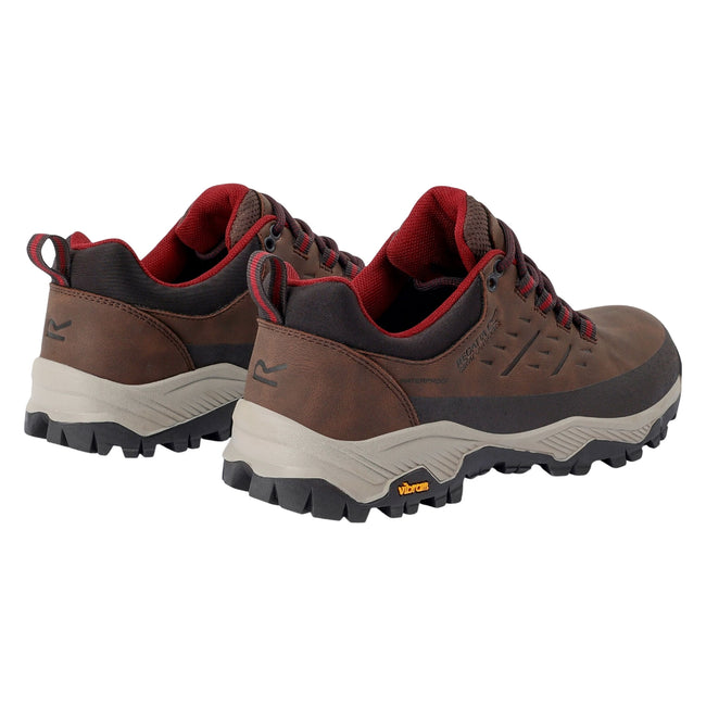 Chestnut-Dark Pimento - Back - Regatta Womens-Ladies Blake Low Walking Shoes