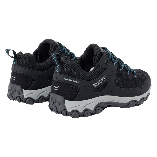 Black-Storm Blue - Back - Regatta Womens-Ladies Edgepoint IV Low Walking Shoes