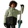 Abbeystone-Black - Lifestyle - Dare 2B Childrens-Kids Send It! Ski Jacket