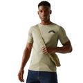 Golden Sand - Lifestyle - Regatta Mens Cline IX Sunset T-Shirt
