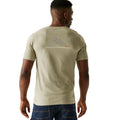 Golden Sand - Pack Shot - Regatta Mens Cline IX Sunset T-Shirt