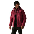 Dark Maroon-Black - Lifestyle - Regatta Mens Sterlings Insulated Waterproof Jacket