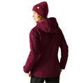 Dark Pimento - Pack Shot - Regatta Womens-Ladies Highton Stretch Padded Jacket
