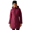 Dark Pimento - Lifestyle - Regatta Womens-Ladies Andria Padded Jacket