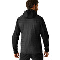 Black-Dark Maroon - Pack Shot - Regatta Mens Andreson Hybrid Jacket