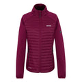 Dark Pimento - Front - Regatta Womens-Ladies Clumber Hybrid Jacket