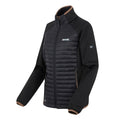 Mocha-Black - Side - Regatta Womens-Ladies Clumber Hybrid Jacket