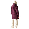 Fig - Pack Shot - Dare 2B Womens-Ladies Ski Jacket