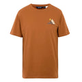 Glazed Ginger - Front - Regatta Mens Cline IX Mountain T-Shirt