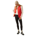 Clover Red - Lifestyle - Regatta Professional Womens-Ladies Orla Kiely Floral Quilted Gilet