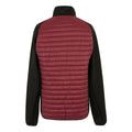 Dark Maroon-Black - Back - Regatta Mens Clumber Hybrid Jacket