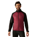 Dark Maroon-Black - Lifestyle - Regatta Mens Clumber Hybrid Jacket