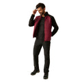 Dark Maroon-Black - Pack Shot - Regatta Mens Clumber Hybrid Jacket