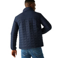 Navy-Black - Pack Shot - Regatta Womens-Ladies Haire Padded Jacket