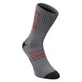Grey Marl-Red - Back - Regatta Mens Bamboo Crew Socks