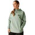 Glacier Green - Lifestyle - Dare 2B Womens-Ladies Snowburst Hoodie