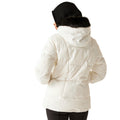 Grey Morn - Pack Shot - Dare 2B Womens-Ladies Glamourize VI Ski Jacket
