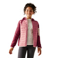 Dusty Rose - Lifestyle - Regatta Childrens-Kids Newhill Hybrid Jacket