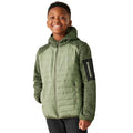 Oil Green - Side - Regatta Childrens-Kids Newhill Hybrid Jacket