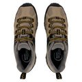 Clay-Gold Flake - Lifestyle - Regatta Mens Edgepoint IV Low Walking Shoes