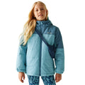 Storm Blue-Nordic Blue - Lifestyle - Regatta Childrens-Kids Lofthouse Insulated Jacket