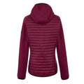 Dark Pimento - Back - Regatta Womens-Ladies Anderson Hybrid Jacket