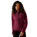 Dark Pimento - Lifestyle - Regatta Womens-Ladies Anderson Hybrid Jacket