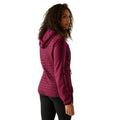 Dark Pimento - Pack Shot - Regatta Womens-Ladies Anderson Hybrid Jacket